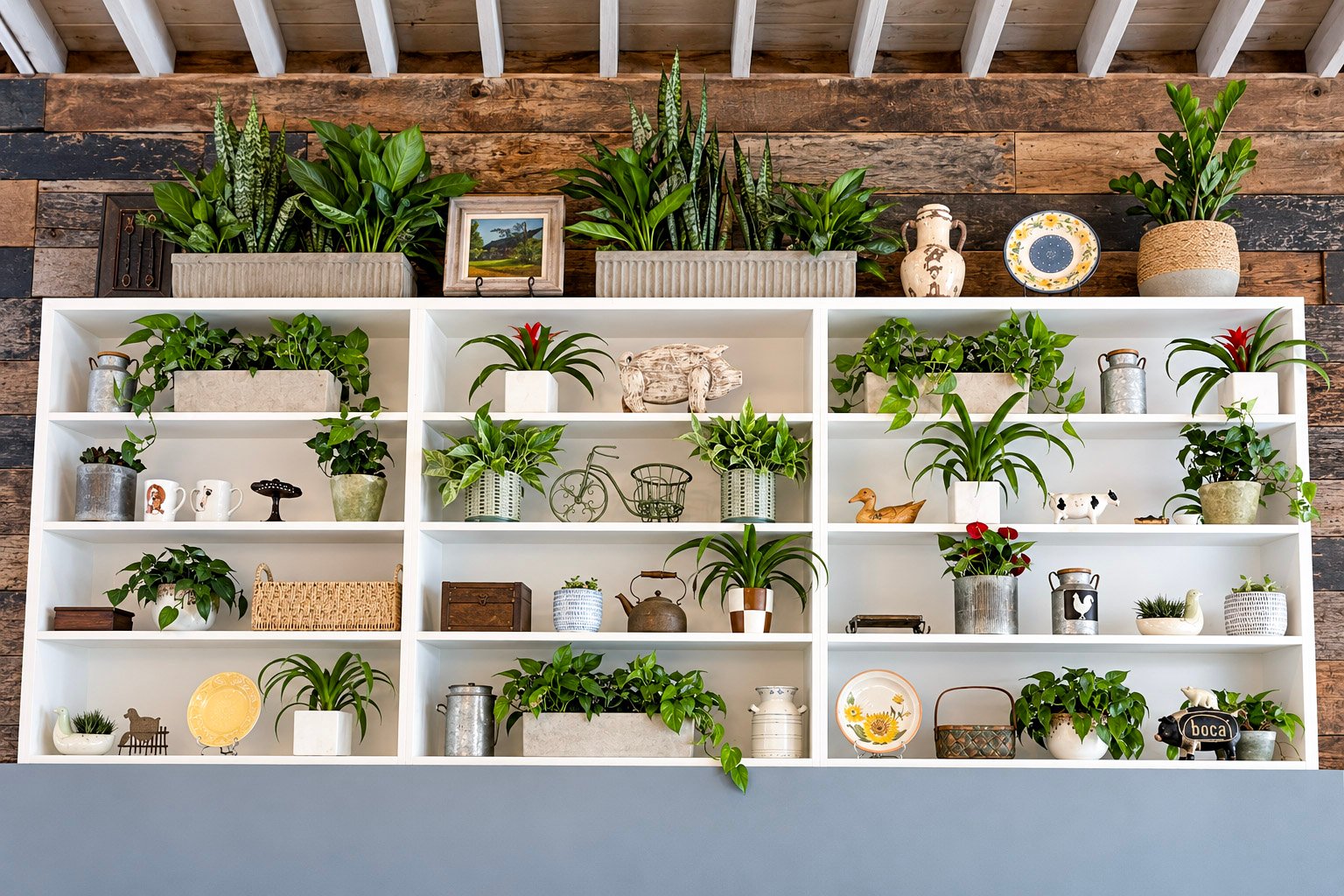 Website_Indoor Plants_Portfolio_11