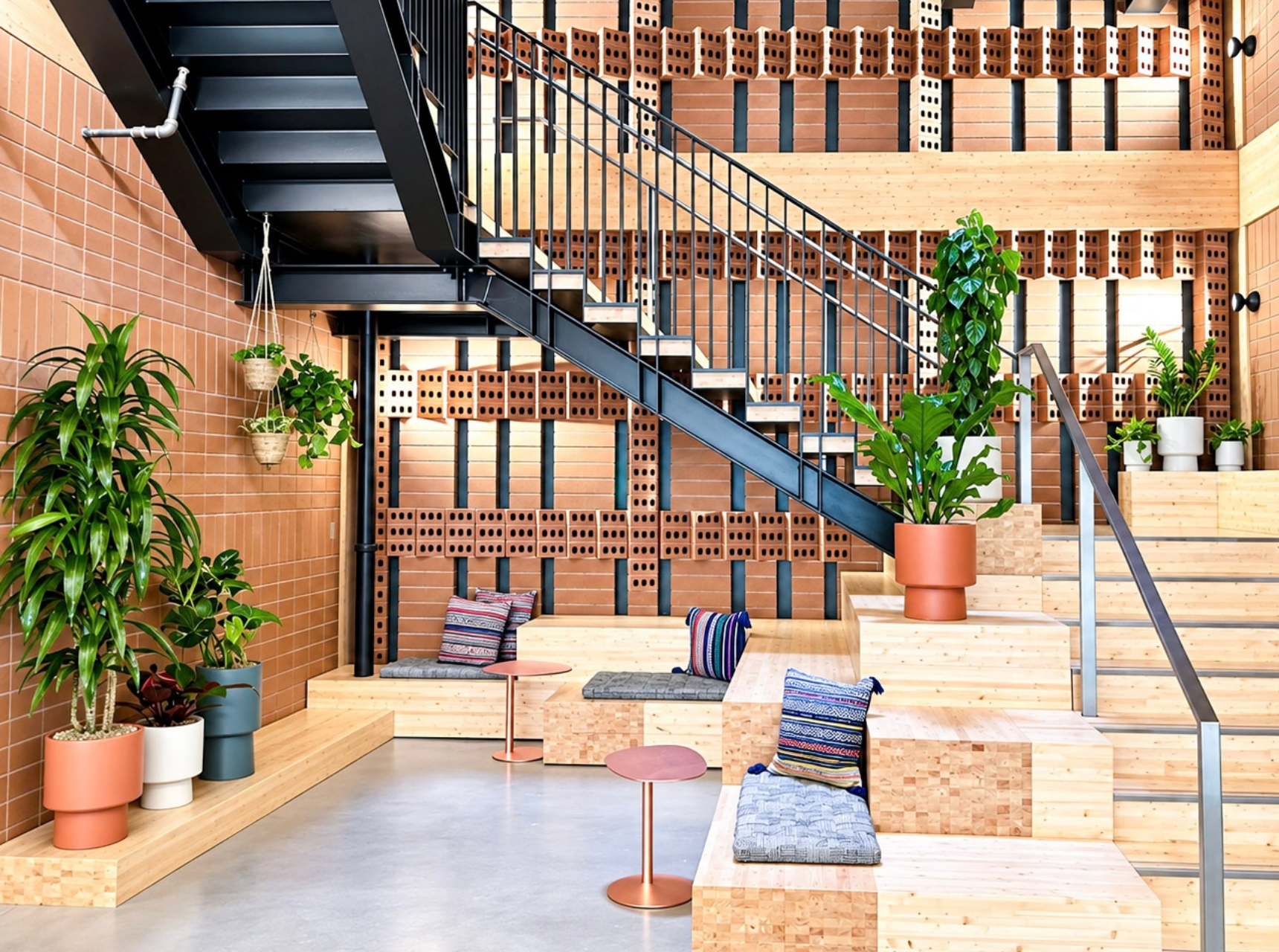 Website_Portfolio_Indoor Plants_13 - 16x9in