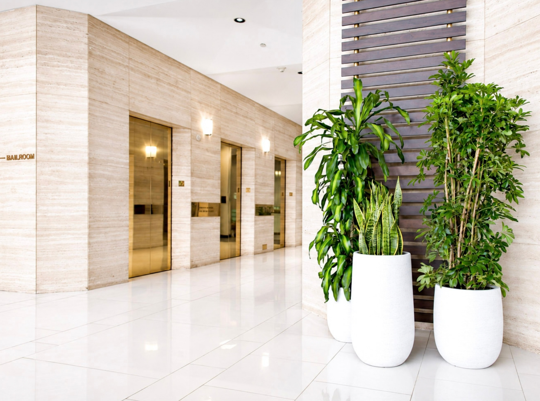 Website_Portfolio_Indoor Plants_4 - 16x9in