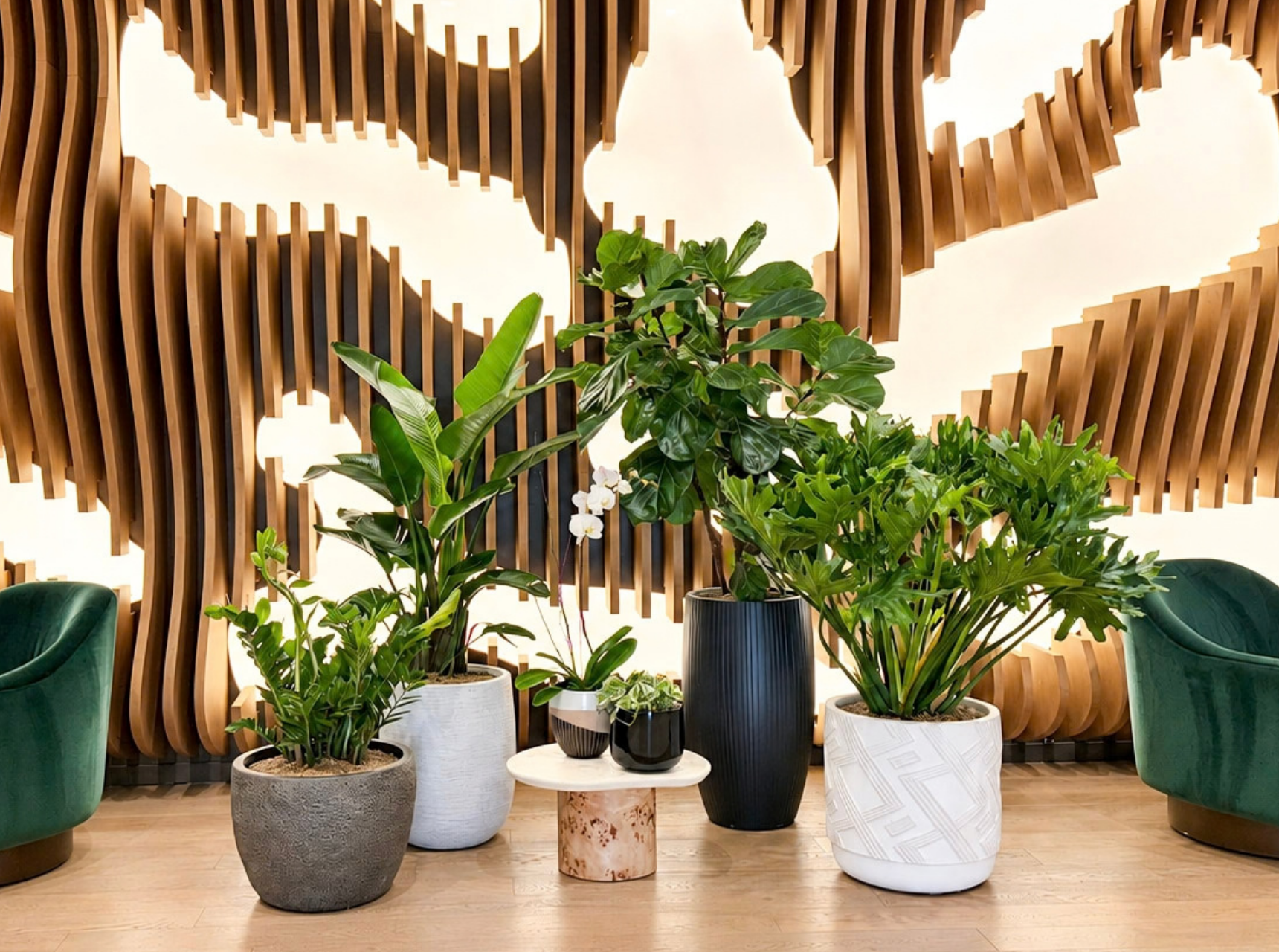 Website_Portfolio_Indoor Plants_9 - 16x9in
