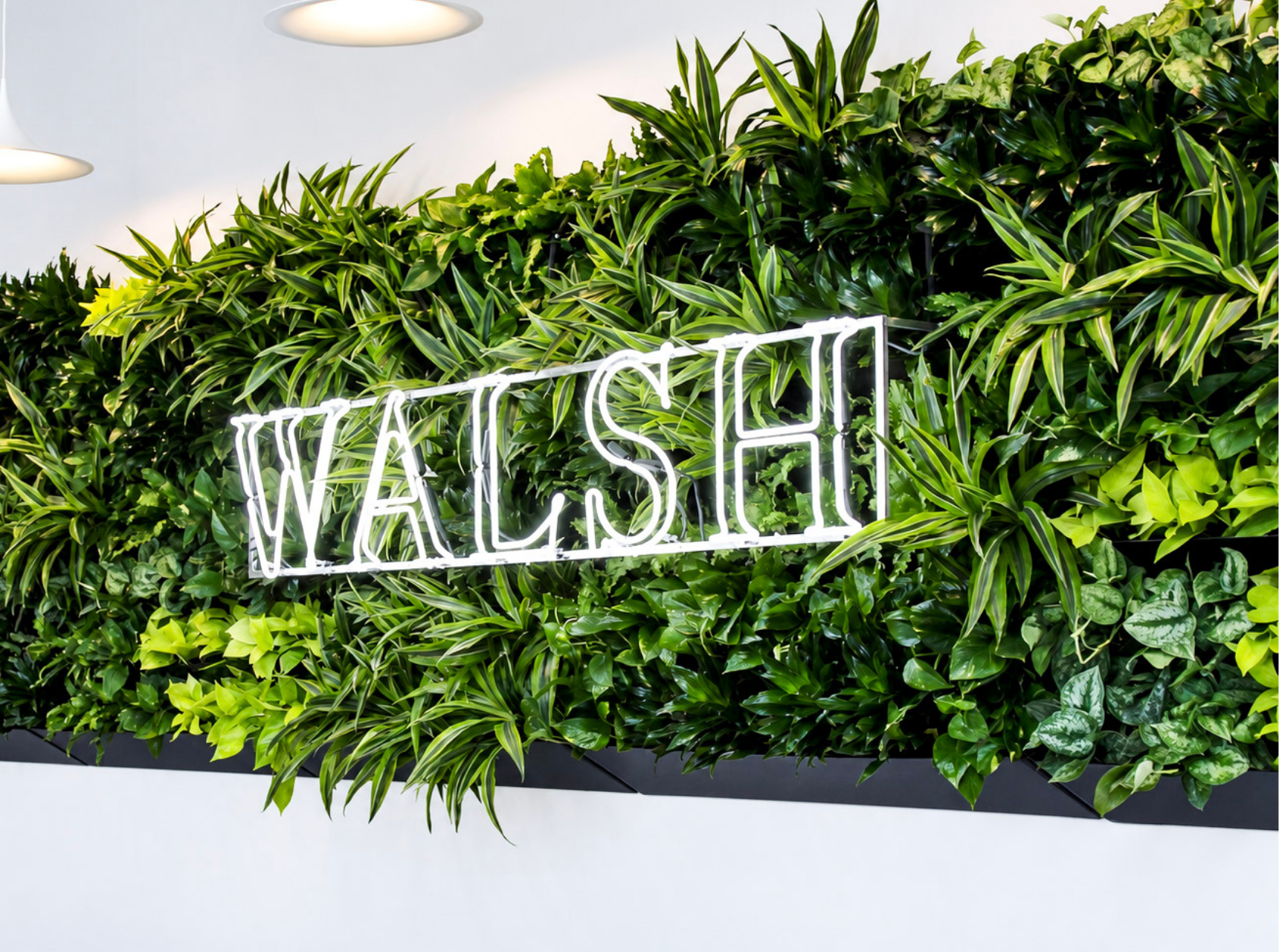 Website_Portfolio_Living Walls_1 - 16x9in