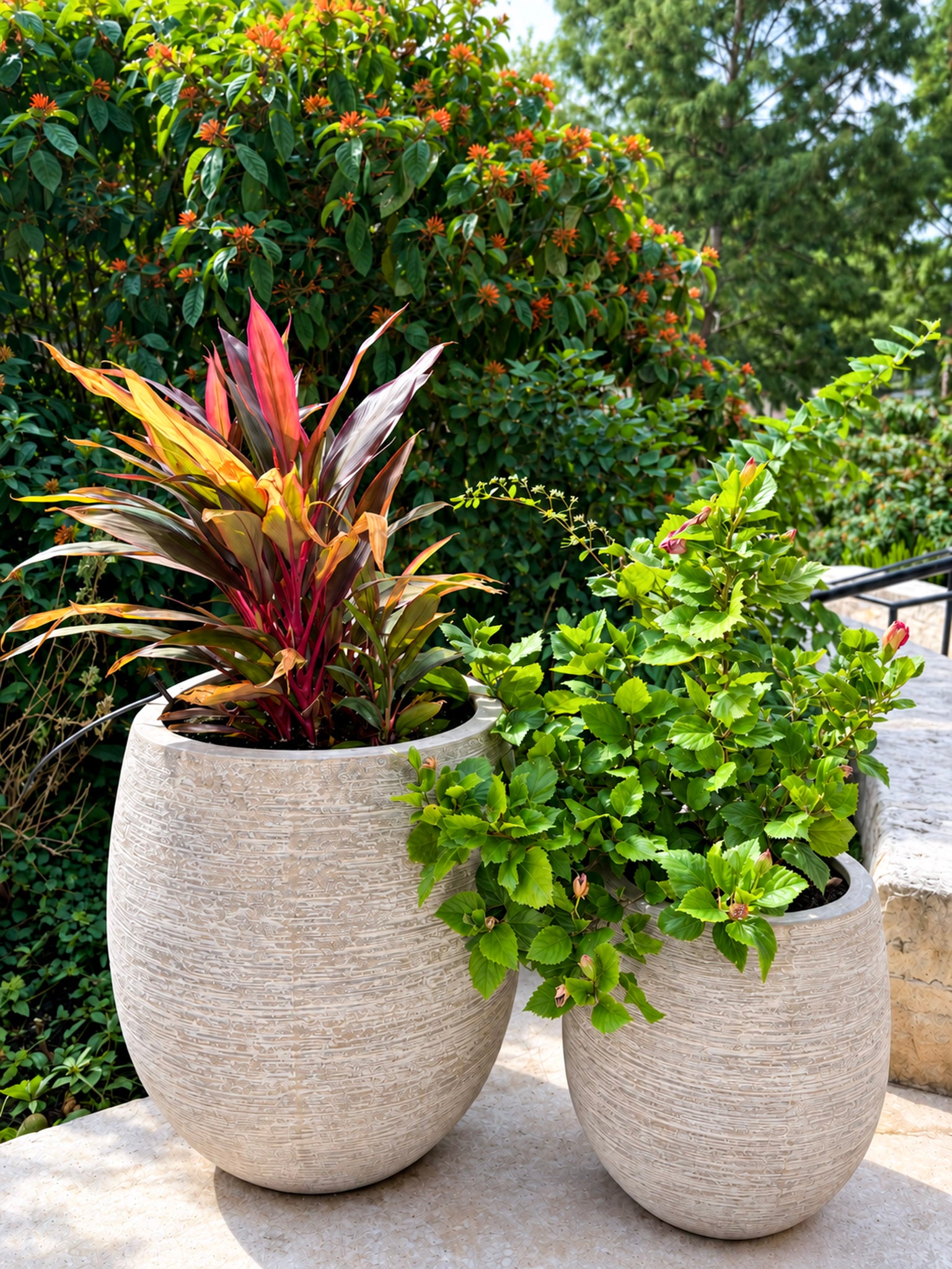 Website_Portfolio_Outdoor Plants_12 - 16x9in