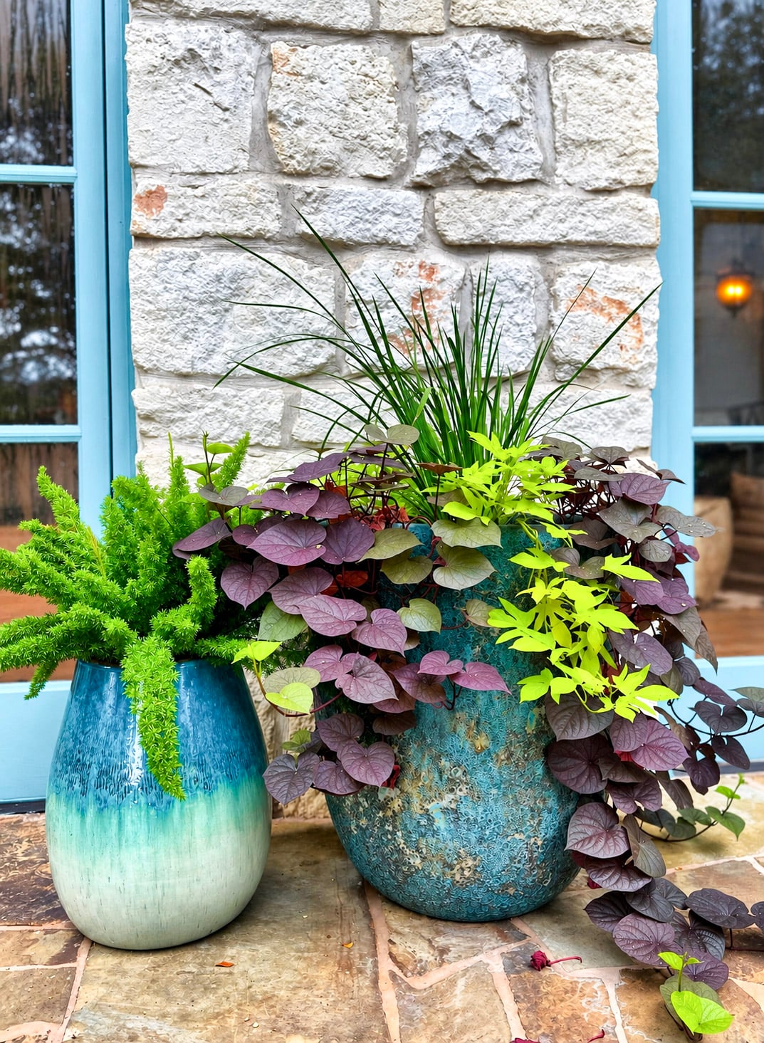 Website_Portfolio_Outdoor Plants_2 - 16x9in