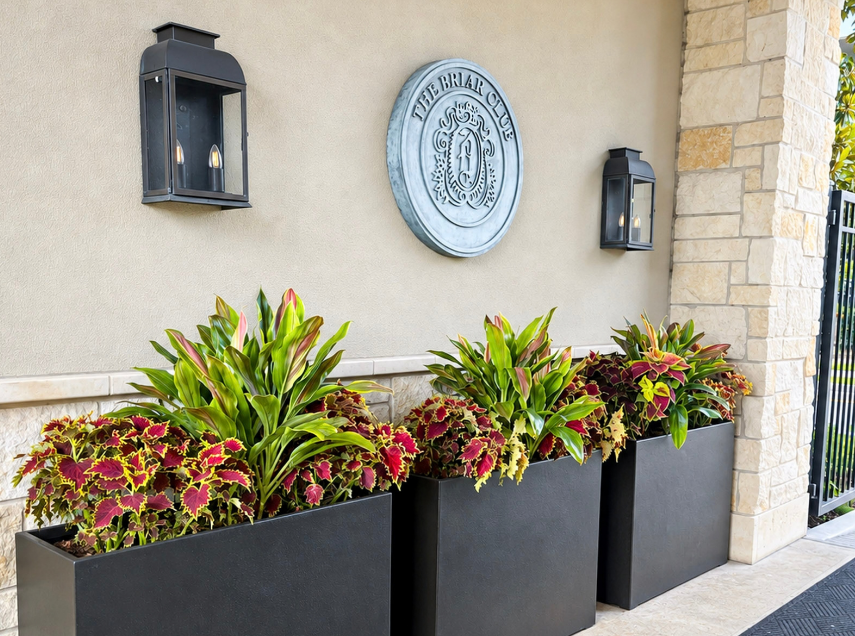 Website_Portfolio_Outdoor Plants_7 - 16x9in