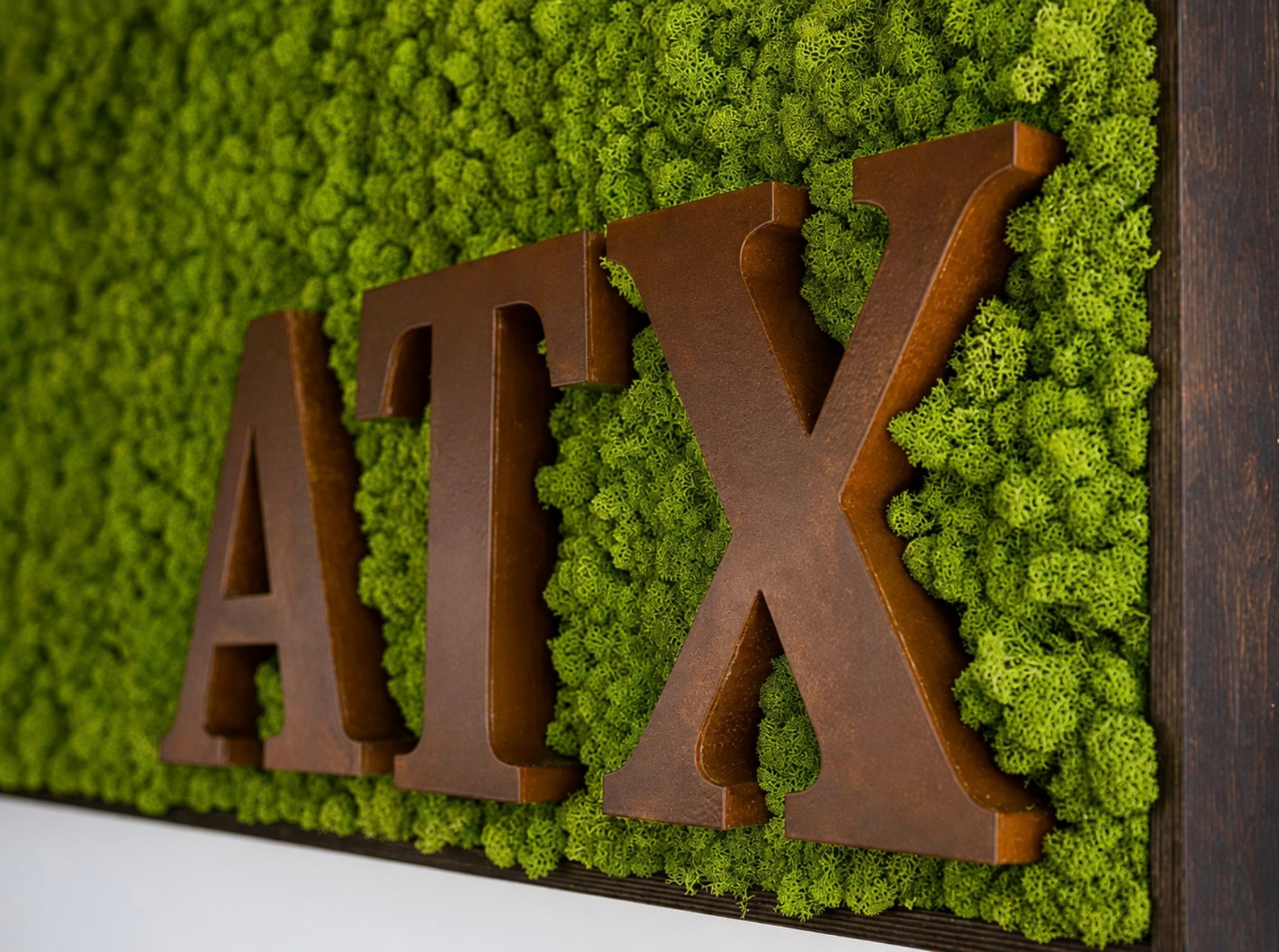 Website_Portfolio_Moss Walls_11 - 16x9in