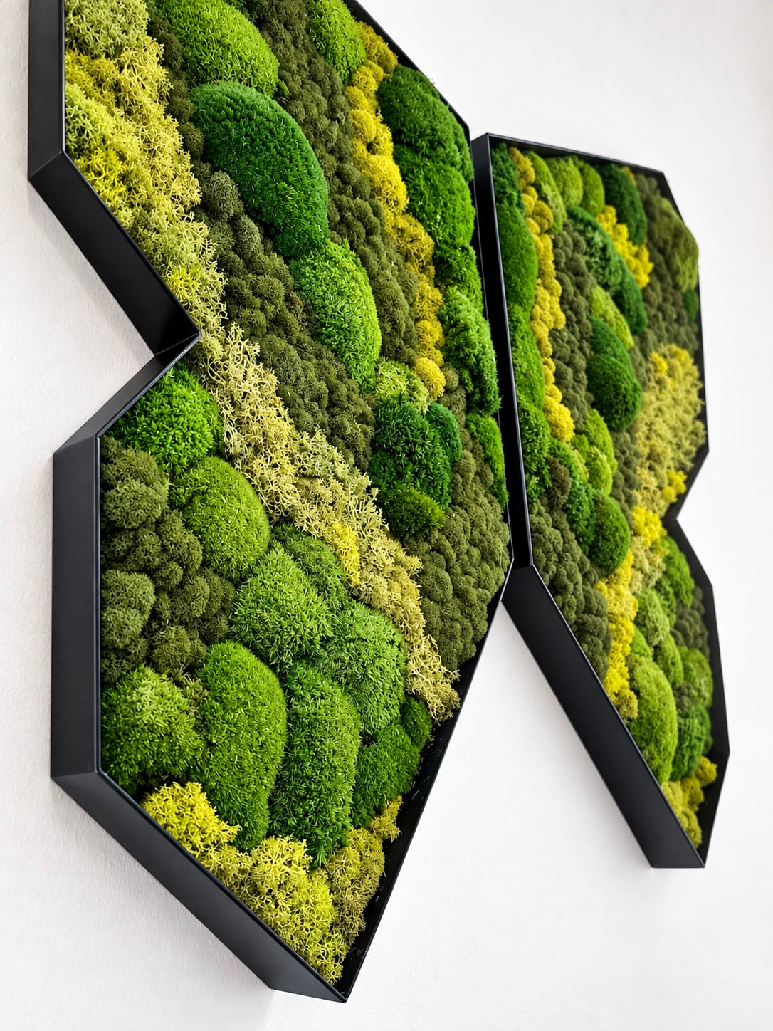 Website_Portfolio_Moss Walls_15 - 16x9in