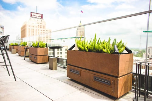Outdoor plants 