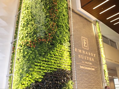 EMBASSY_SUITES-Denton_Green_Living_Wall-Lobby-e1639789620550-2