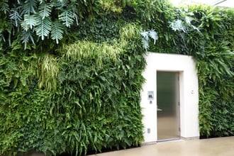 Green_wall_-_Longwood_Gardens_-_DSC01045