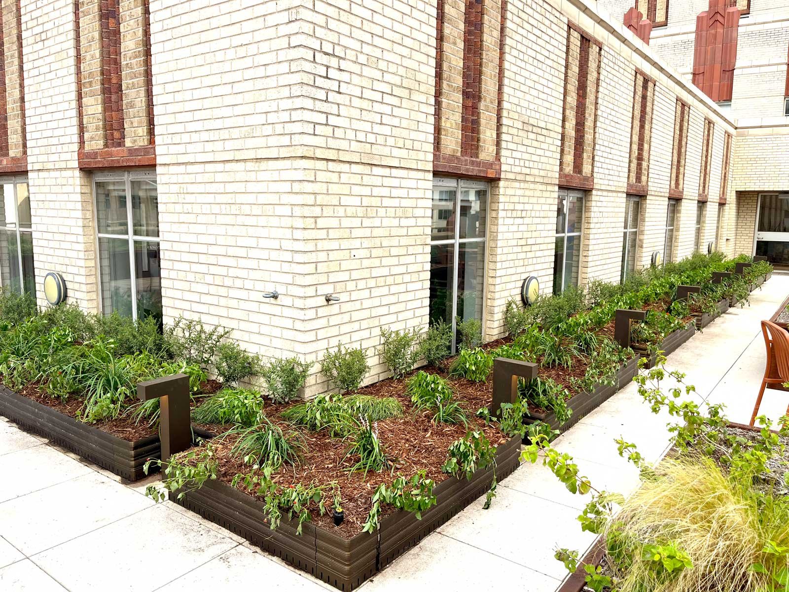 interioir plant service houston