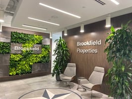 The Top Indoor Plants for Office Spaces in Houston