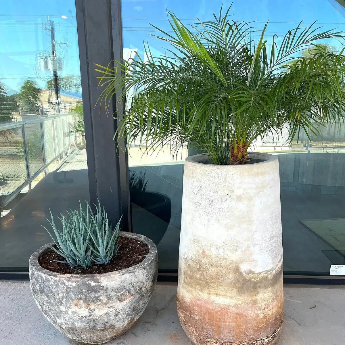 Exterior plants in stone containers 