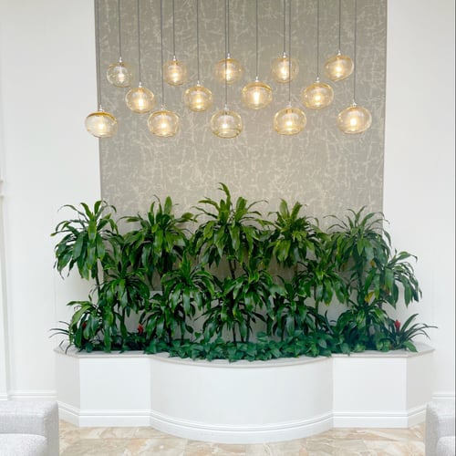 Biophilic design 