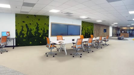 Interior Plant Design Tampa - Moss Wall