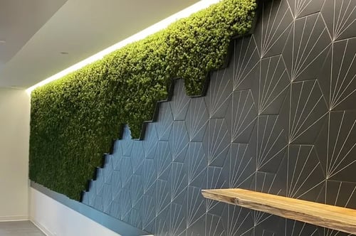 Moss walls