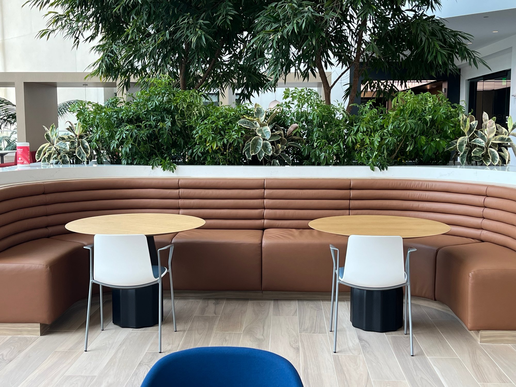 MicrosoftTeams-image (21)-1