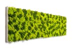 Moss_Wall-camo-150x107 (1)