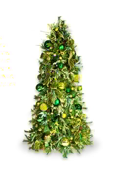 Natura-Holiday-Botanical-Elegance-Green Natura-Holiday-Botanical-Elegance-Green