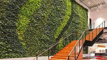 Interior Plant Design Sarasota - Green Wall