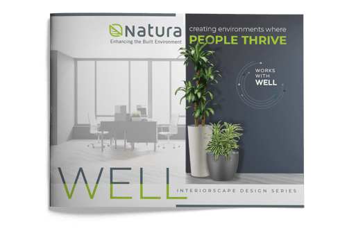 Natura plant rentals