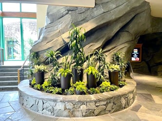 Interior Plant Design Orlando - Indoor plants