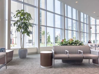 Interior Plant Design Orlando - Lobby