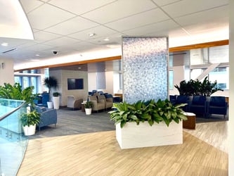 Interior Plant Design Orlando- Office 