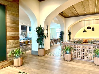 Interior Plant Design Orlando - Hospitality plants