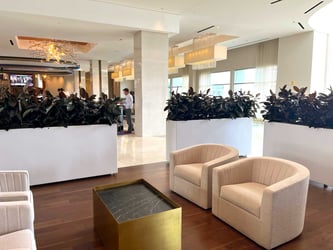 Interior Plant Design Orlando - Waiting area