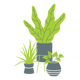 Plant-Design