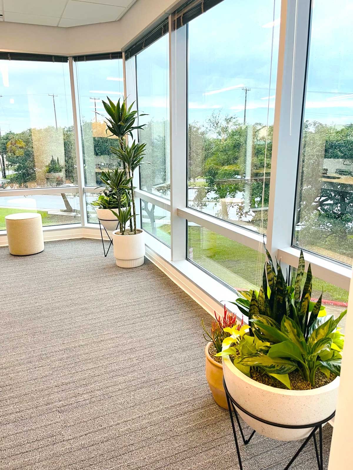 Indoor plantscaping company