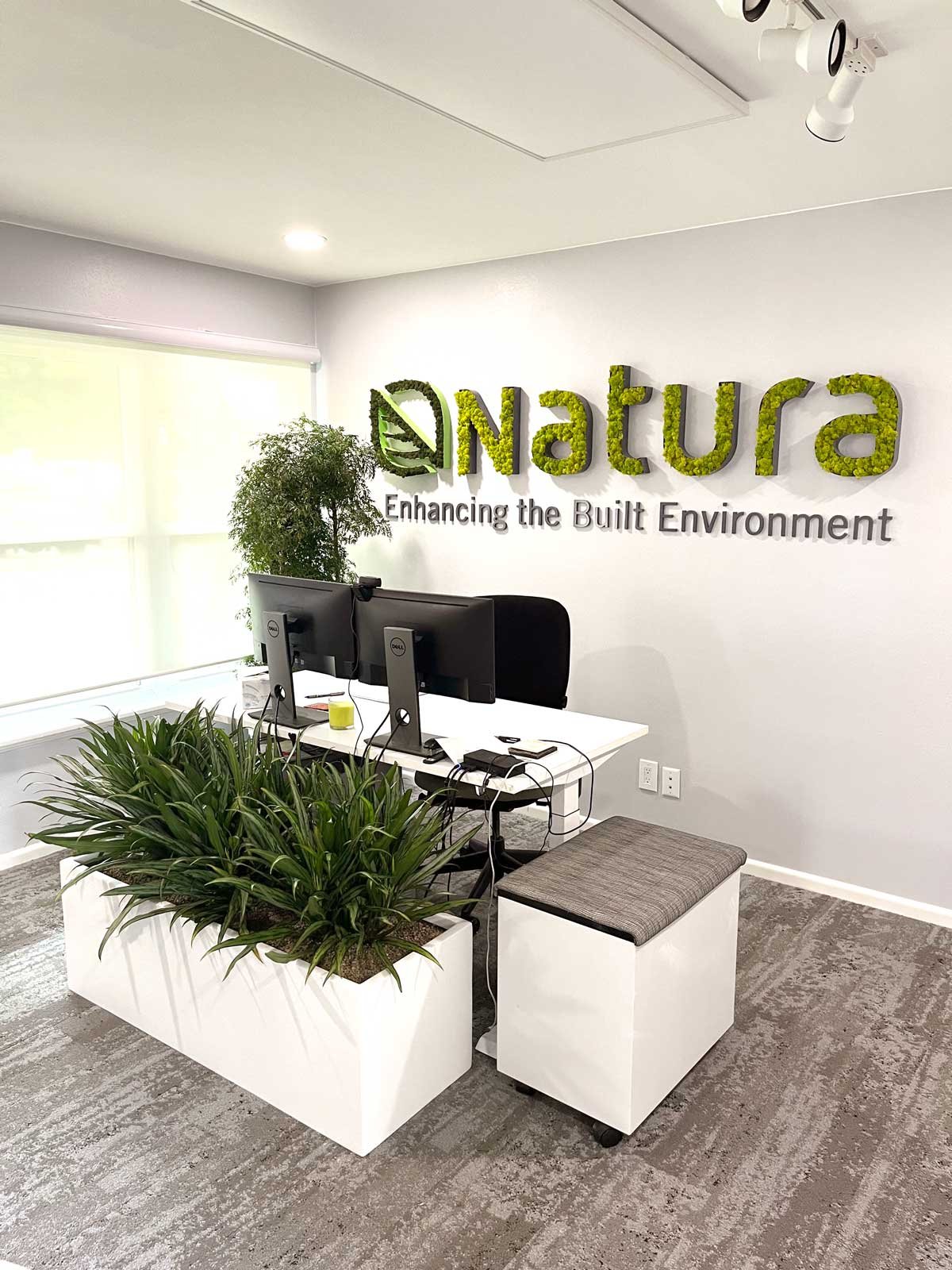 Moss walls San antonio