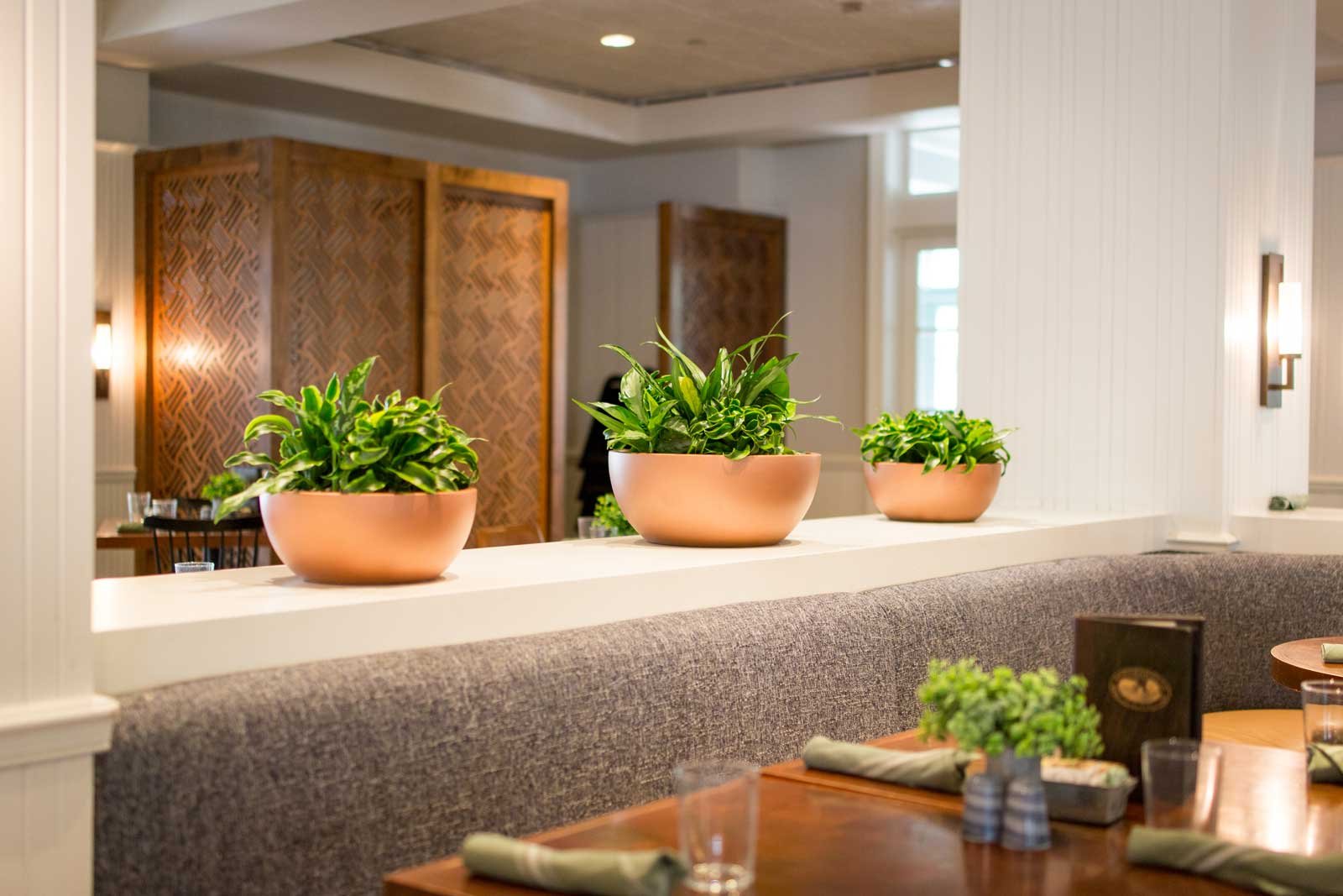 Natura-San-Antonio-13