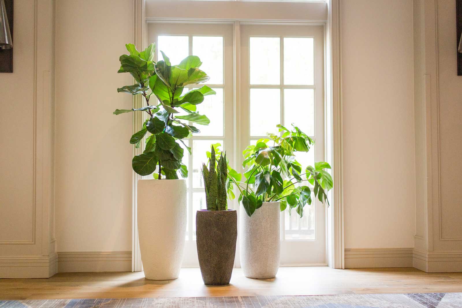 Natura-San-Antonio-14