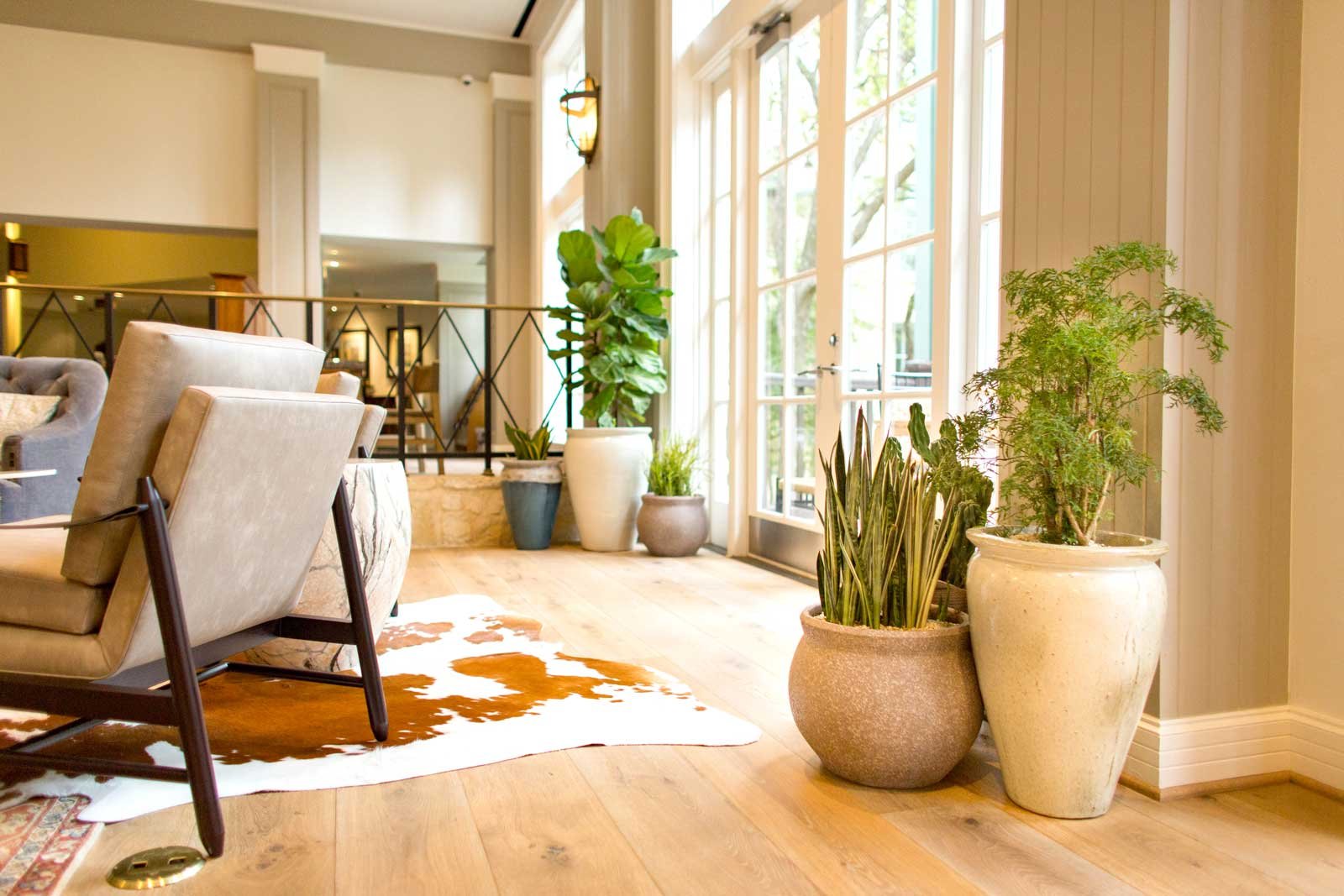 Natura-San-Antonio-15