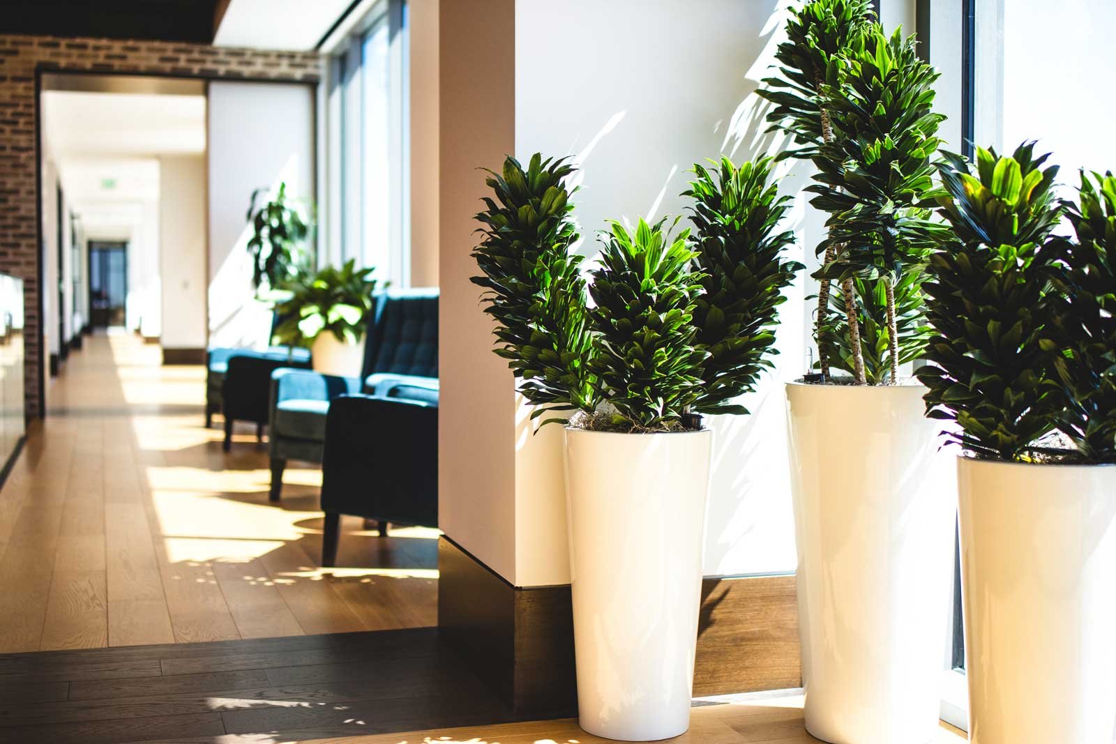 Natura-San-Antonio-22