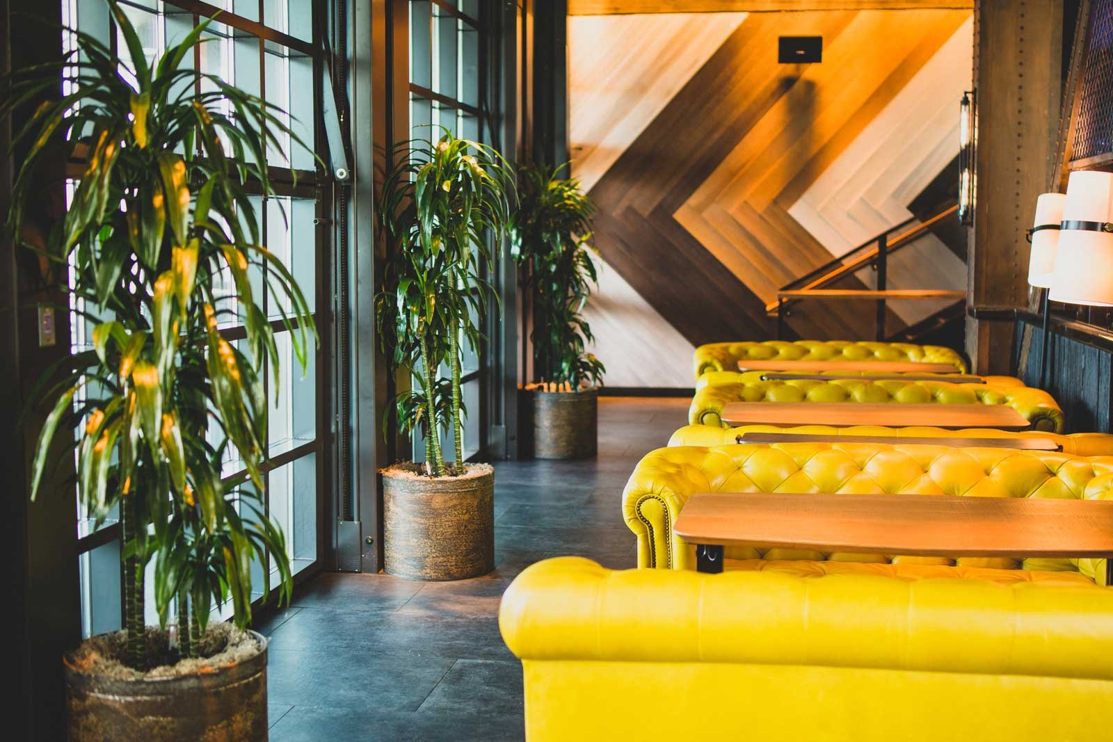 interior plant company san antonio texas