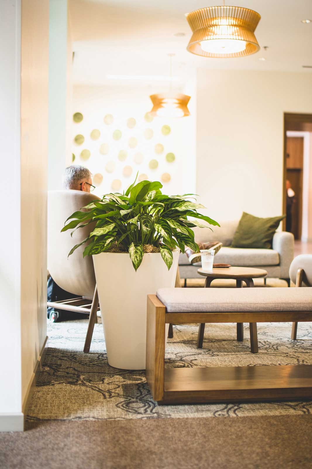 interior plant design company san antonio