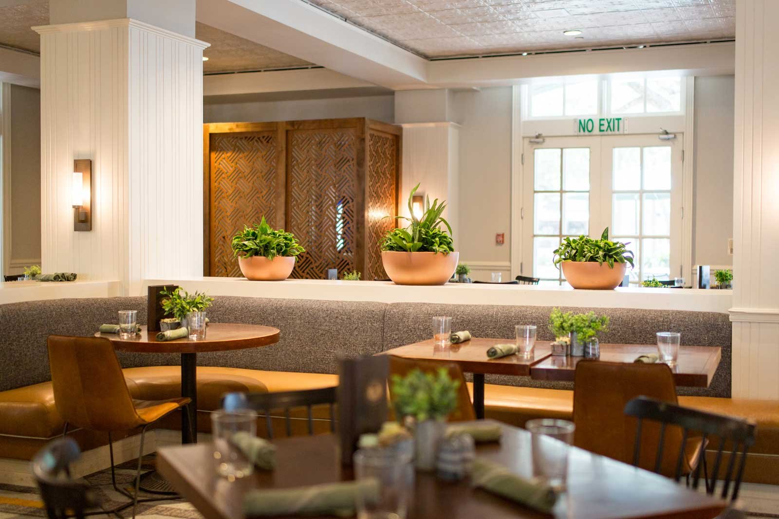 interior plant service near me