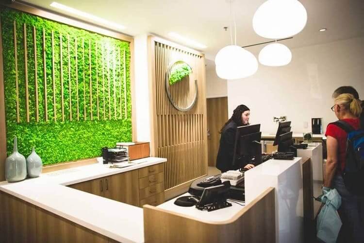 Small 13-How-Live-Plants-can-Enhance-the-Hotel-Guest-Experience