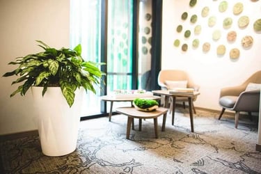 Interior Plant Design Corpus Christi - Office Space