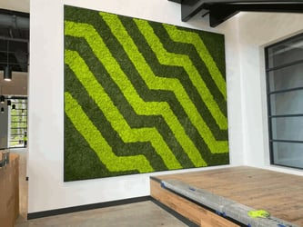 Interior Plant Design Corpus Christi - Moss Wall”