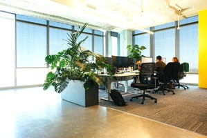 What to include in your corporate plant service contract in 2026