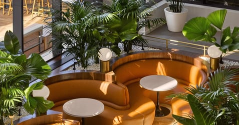Interior Plant Design Houston - Indoor Plants
