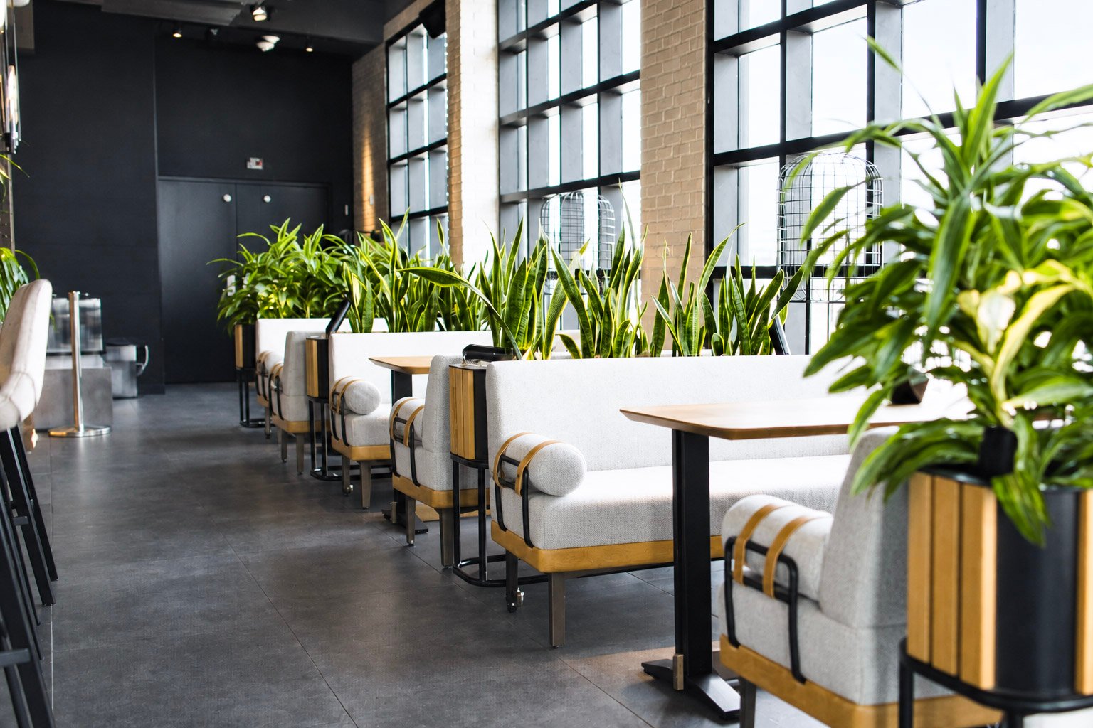 Website_Indoor_Portfolio_1