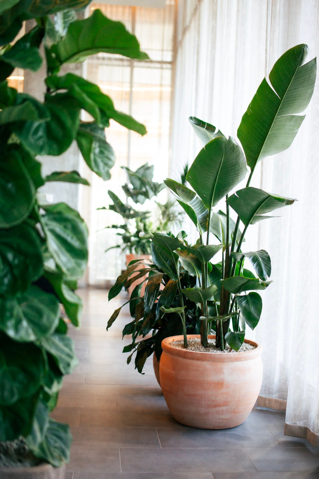 Website_Indoor_Portfolio_15