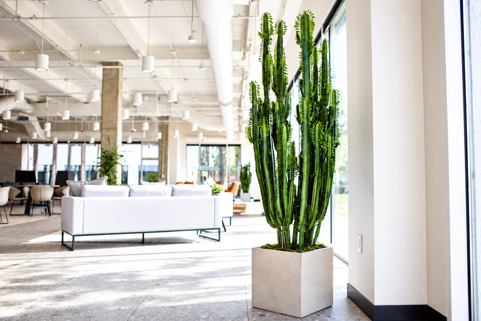 Website_Indoor_Portfolio_4