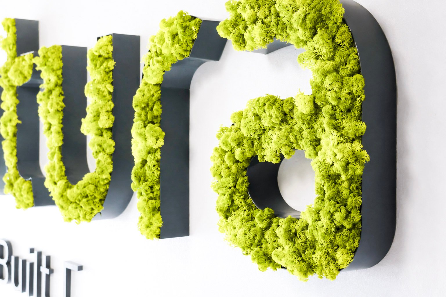 Website_Moss_Portfolio_12