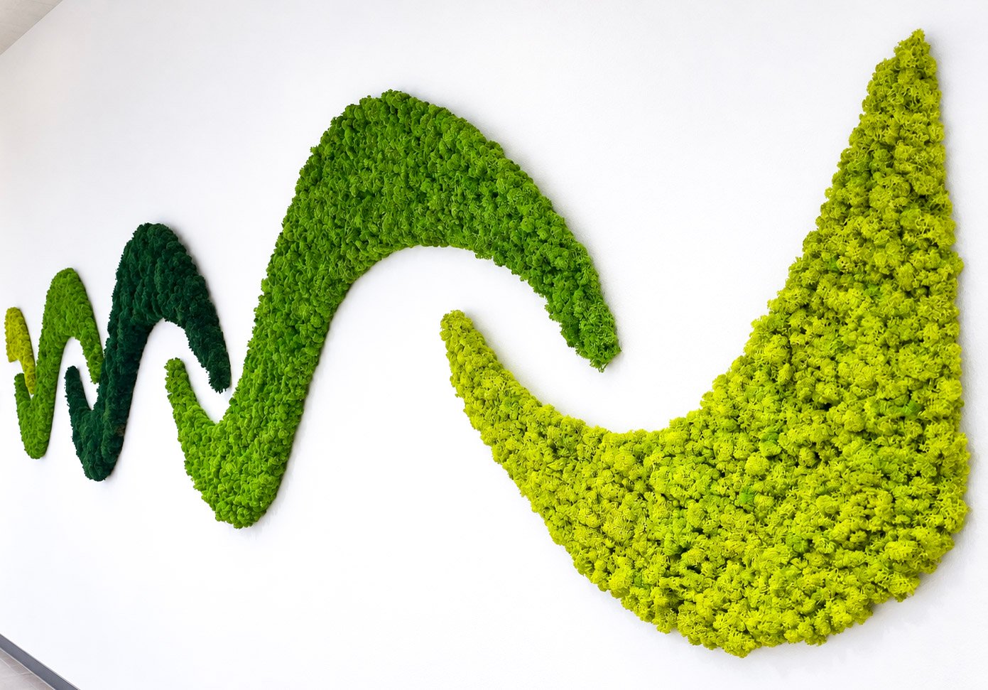 Website_Moss_Portfolio_5
