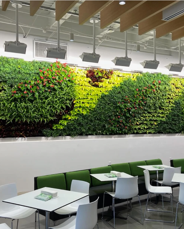 Case Study  How to Install Your Indoor Greenwall